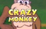 Crazy Monkey