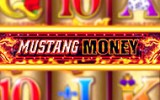 Mustang Money